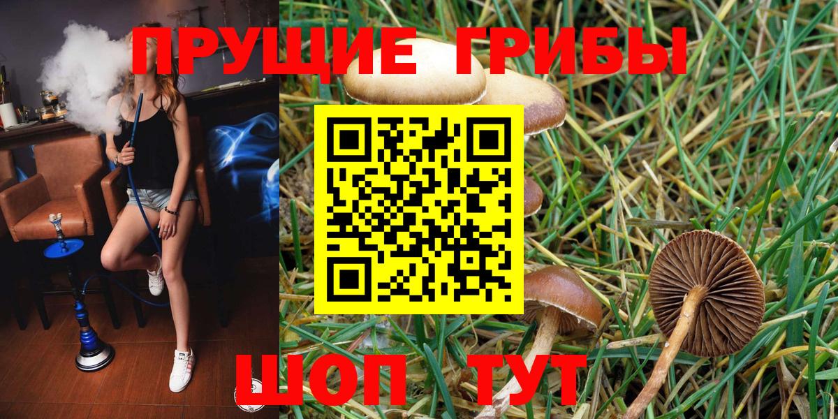 Псилоцибиновые грибы ЛСД Светлоград