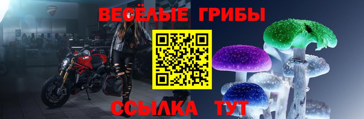 Псилоцибиновые грибы Magic Shrooms  Вход с VPN  Галлюциногенные грибы мухоморы  Светлоград 